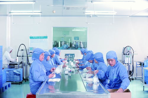 化妝品企業為何選擇OEM代加工？——以思特集團廣州索柔為例