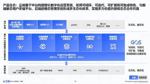2023增長(zhǎng)為王 消費(fèi)者數(shù)字化逆向重構(gòu)消費(fèi)企業(yè)信息系統(tǒng)集成服務(wù)