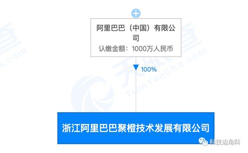 阿里巴巴成立聚橙技術(shù)，千萬(wàn)元加碼信息系統(tǒng)集成服務(wù)